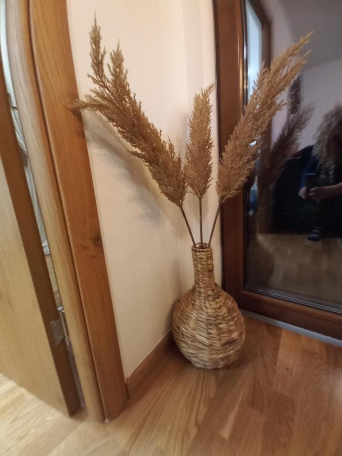 Zlatibor Apartman Luxury & Spa Dijana Exterior photo