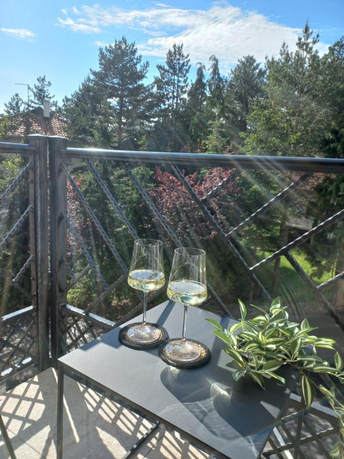 Zlatibor Apartman Luxury & Spa Dijana Exterior photo
